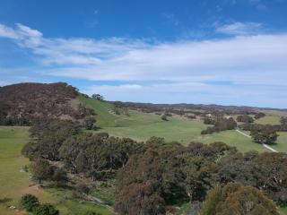Tiny Home on Yass River - Private Farm Stay- Pet and Horse Friendly - 9