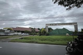 Palm Cabanas Resort - 1