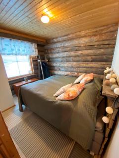 Lomailevi C7 Lapinsirkku Visit Levi - 2