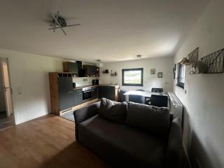 Ferienwohnung vor dem Zoller - 1