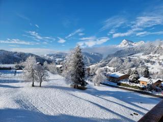 Studio rénové - balcon plein sud - 0