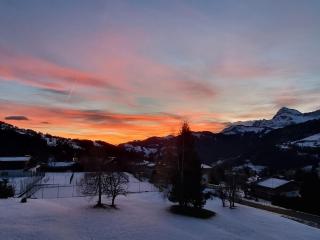 Studio rénové - balcon plein sud - 1