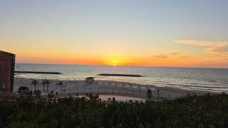 Gigi and Sasha's Cozy Studio - 1