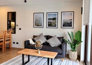 Modern 1BR Apt in Somma Asturias - 9