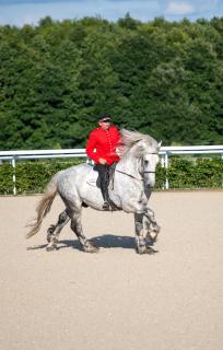 Cité Pontavice du Haras national du Pin - 3