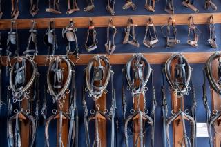 Cité Pontavice du Haras national du Pin - 4