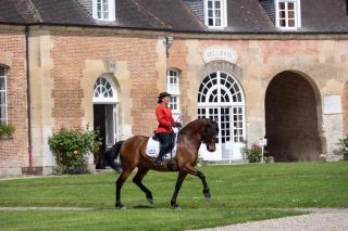 Cité Pontavice du Haras national du Pin - 9