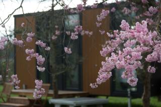 Applewood Cabin 2 by Tiny Away - 8