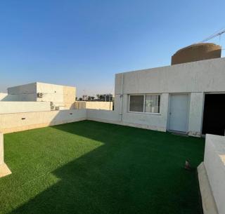 مدينتي القاهرة الجديدة - 6