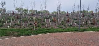 Solid Mirror Home Milton Keynes - 4