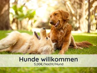 Der Fuchsbau - Ferienwohnung "Auszeit Harz" - 3 Hunde willkommen - eingezäunter Garten - 8