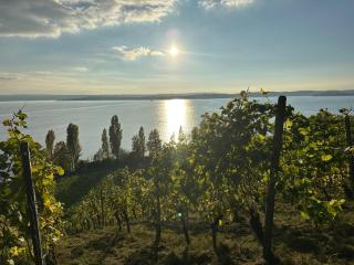 Haus Roswitha Sundermeyer - Wohnung B - 9