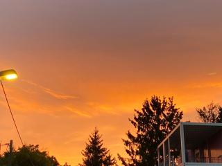 Mitbewohner - Frankfurt am Main - 2