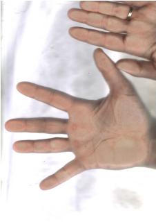 Panoramica Golf - San Jorge - 0