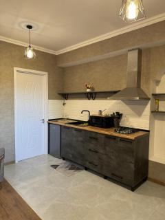 hotel apartment in ambrolauri,,VEGA STAR,, - 7