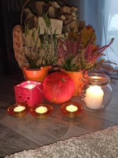 Domek nad stawem - 5