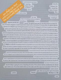 near to alexandria bibliotheca and faculty of medicine - 5