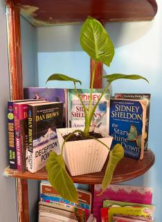 The bunker Hostal - Ella Srilanka - 4