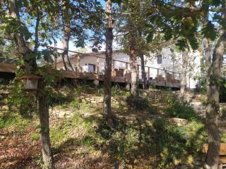 La Colline aux Oiseaux - Quatre chambres - 8