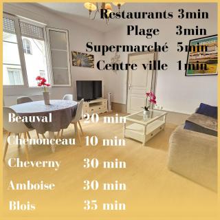 T2 Ctre ville Fibre proche Beauval - 7