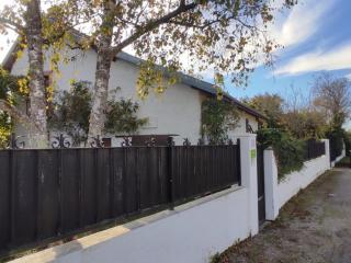 Le Lion de Venise - 7