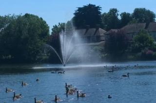 York House Apartments - 5