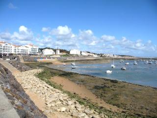 Le Petit Bois Vert - 1