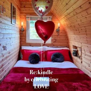 Forester's Retreat Glamping - Cambrian View- Vaccinated dogs over the age of 2 are accepted - 4