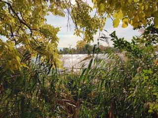 Békafütty Vendégház - 8