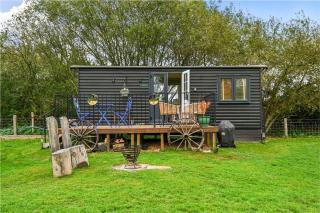 Badger Shepherds Hut - 4