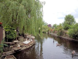 4 Bed in Corfe Mullen THOLD - 1