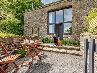 3 bed in Cilycwm BN093 - 9