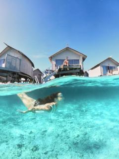 Centara Ras Fushi Resort & Spa Maldives - Stay 4 nights or more and enjoy 50 percent off Speedboat transfers, valid for stays from 6 Apr to 30 Sep 2026 - 2