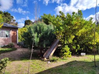 Hermoso Refugio del Bosque - 9
