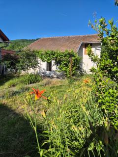 Căsuța de la linie - Moroeni - 8