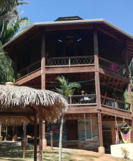 Runaway Pineapple Lodge - 0