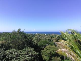 Runaway Pineapple Lodge - 6