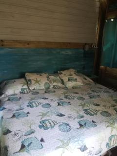 Runaway Pineapple Lodge - 3