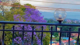 Ethereal Mystique Ashram - 8