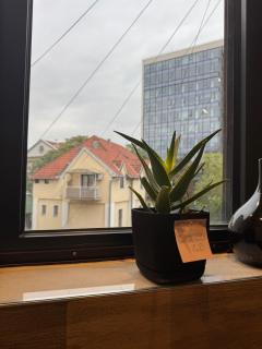 In the heart of Belgrade, in the city center - 3