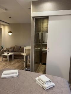 In the heart of Belgrade, in the city center - 1