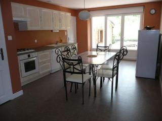 Gîte moderne avec billard et poêle à bois, proche de Mirecourt et Vittel, animaux bienvenus - FR-1-589-180 - 6