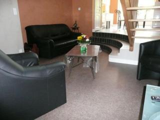 Gîte moderne avec billard et poêle à bois, proche de Mirecourt et Vittel, animaux bienvenus - FR-1-589-180 - 4