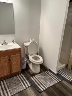 Nice Basement room in the house - 4