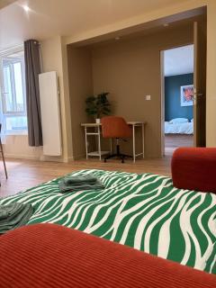 L'Olivier - appartement cozy au centre de Poitiers - 3