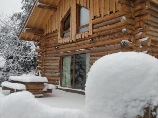 Chalet Authentique en Forêt, 6 Pers, Proche Gérardmer, Sentiers & Stations de Ski - FR-1-589-378 - 9