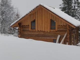 Chalet Authentique en Forêt, 6 Pers, Proche Gérardmer, Sentiers & Stations de Ski - FR-1-589-378 - 1