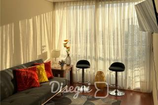 Disegni 17 - Departamento Santiago, Cercano a Metro y Cultura - 0