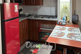 Disegni 17 - Departamento Santiago, Cercano a Metro y Cultura - 3