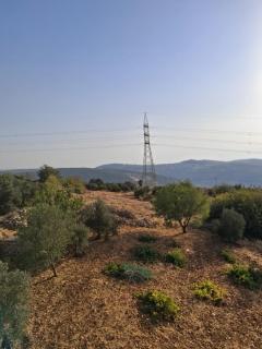 عجلون -ام الينابيع - 7